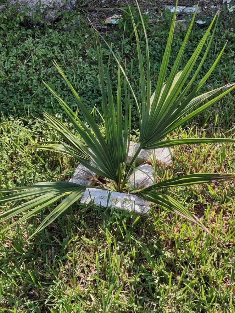 rsz_img_20251019_144057676_hdr.jpg