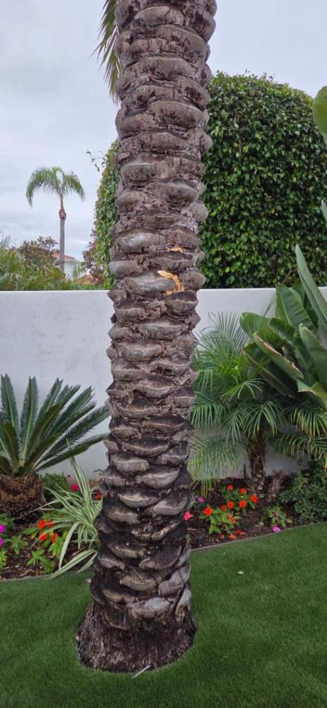20251122_074301.jpg