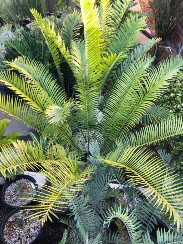 IMG_3788.jpeg