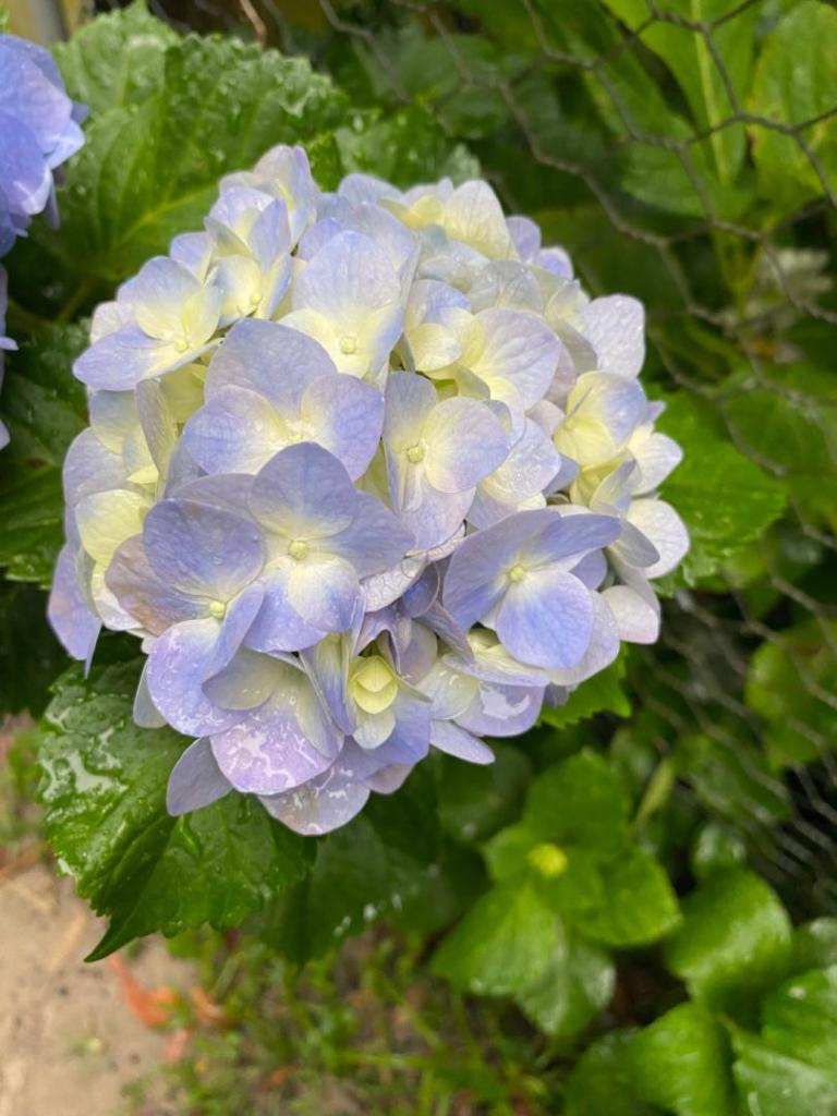 IMG_6880.jpeg