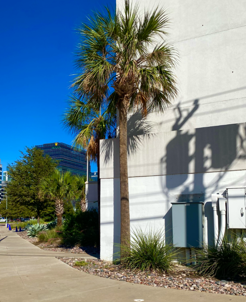 Screenshot 2025-11-21 at 1.11.02 PM.png