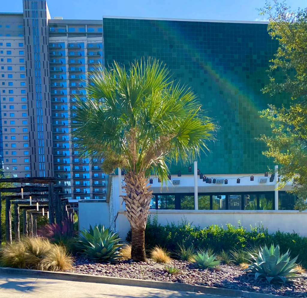 Screenshot 2025-11-21 at 1.11.10 PM.png