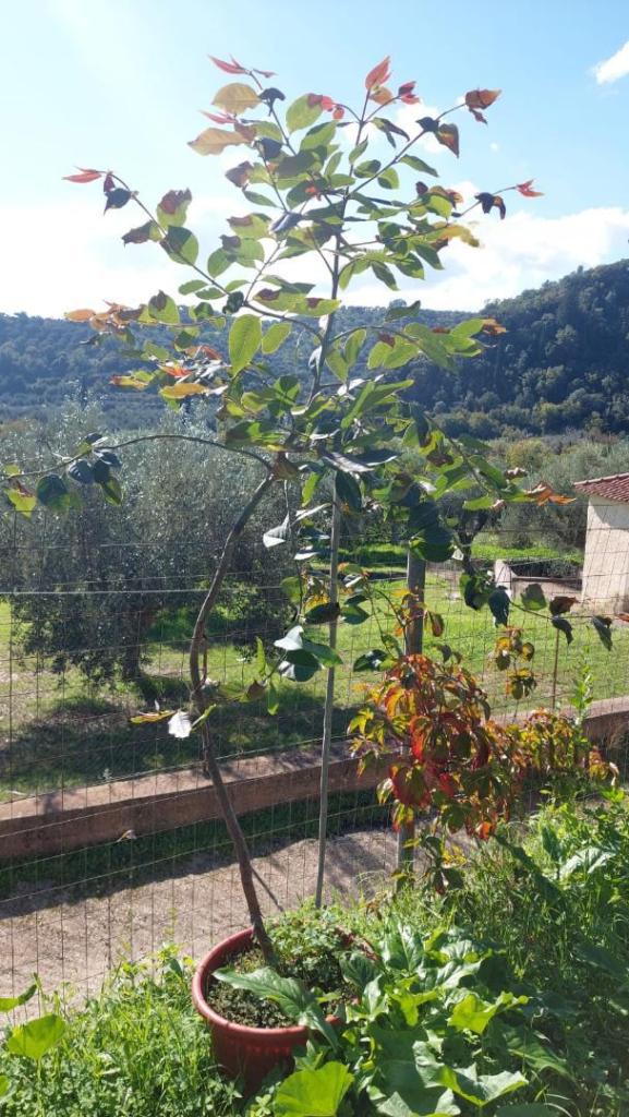 WhatsApp Image 2025-11-13 at 11.49.01.jpeg