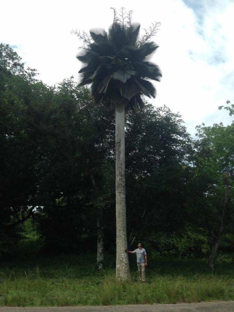 post-5491-0-87437600-1425309325 (1).jpg