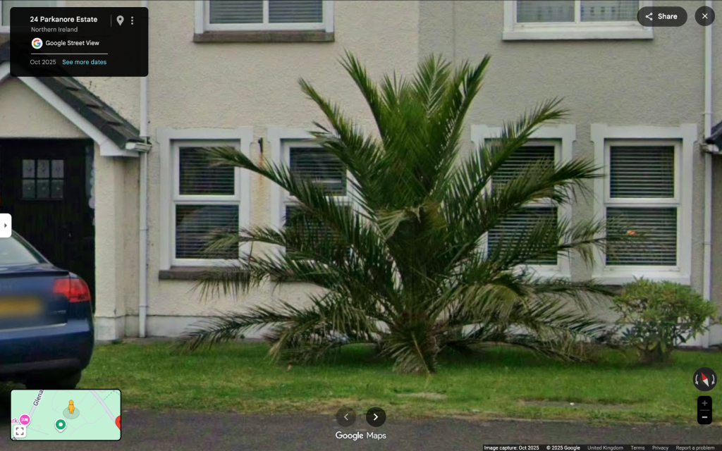 Screenshot2025-12-15at01_10_50.thumb.png.cb80817de121a9a78ef3fd6d508ed00f.png
