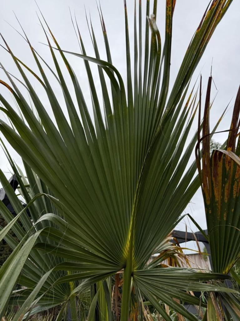 WhatsApp Image 2025-12-08 at 18.26.38.jpeg