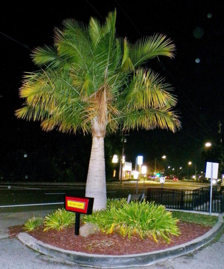 100_5738.thumb.JPG.9d07bf75119ff72db7e262721e20892a.JPG