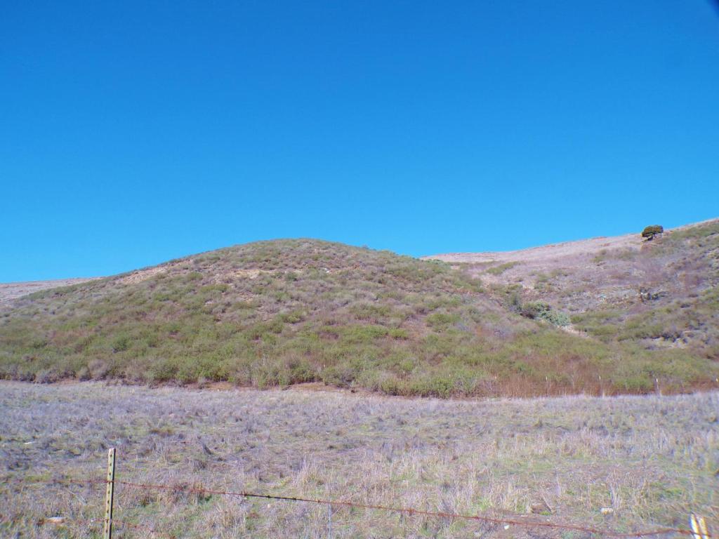 100_5757.thumb.JPG.ff102d7e52f854653cfd465bbf861970.JPG