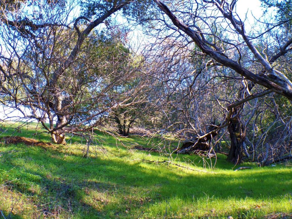 100_5854.thumb.JPG.ff1fd1ec50f59ac9fc6a4d16029b018f.JPG