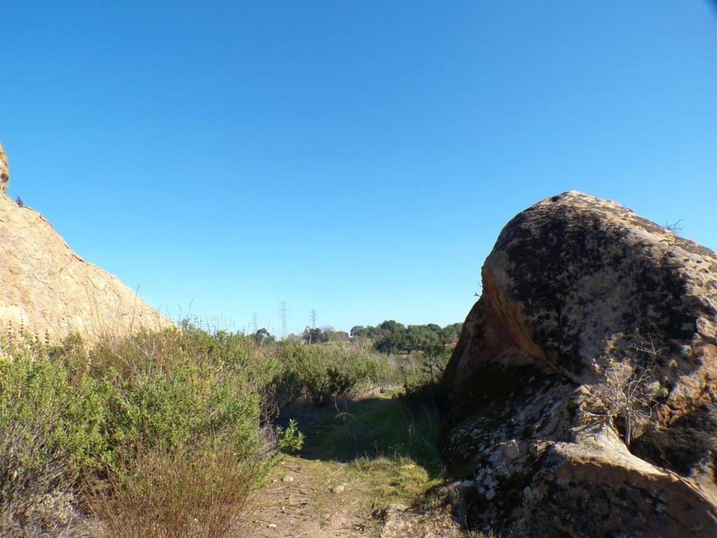 100_5941.thumb.JPG.4f7bd7f0d879e87a7cad1e375386d42b.JPG