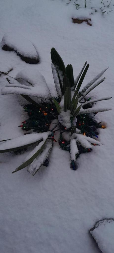 20241215_145315.jpg