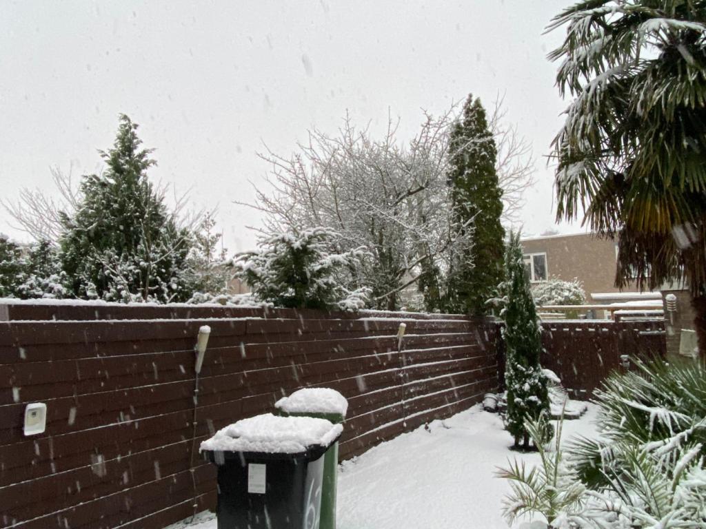 sneeuw2.jpg