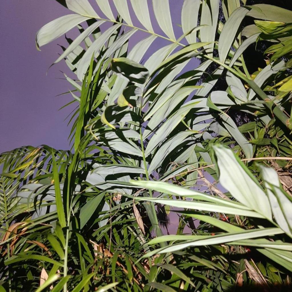 20231223_170903.jpg