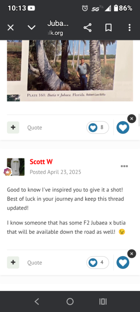 Screenshot_20260206-101300.Chrome.png