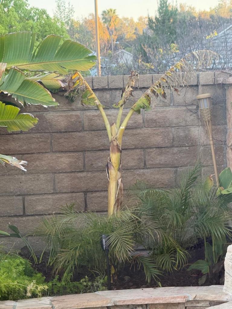 image.thumb.jpeg.0836780e4d2903effe794f0cad4274e1.jpeg
