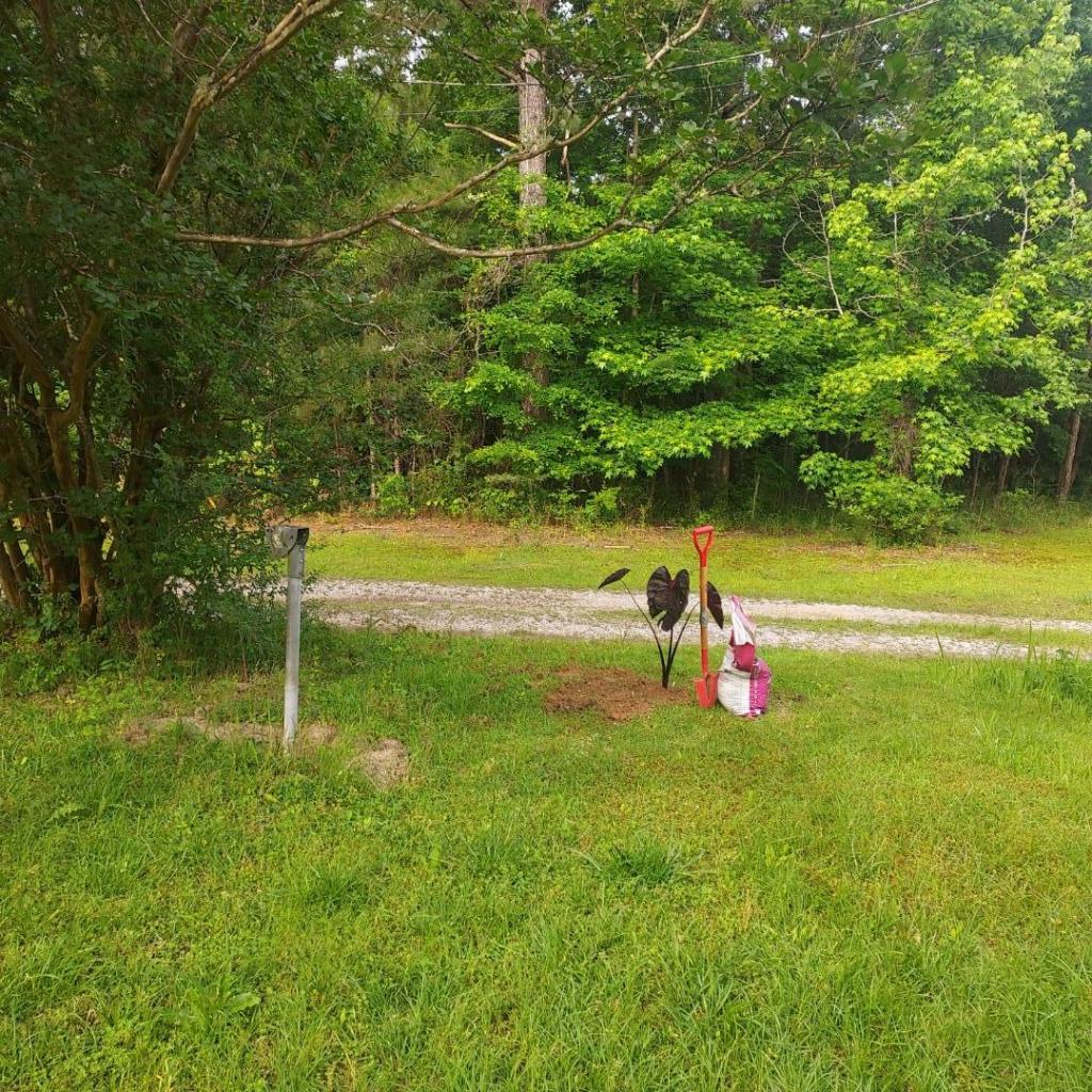 20260516_083244.jpg