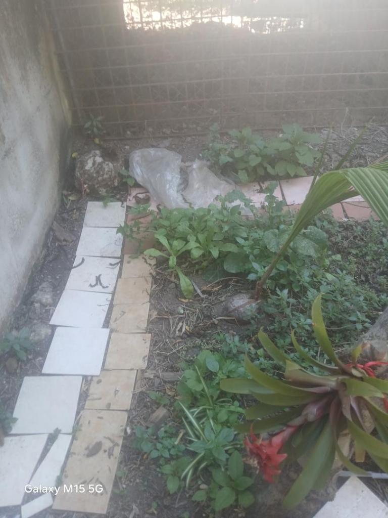 20260530_182507.jpg
