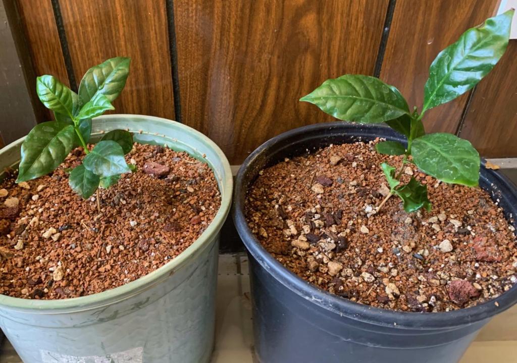 IMG_2183.jpg