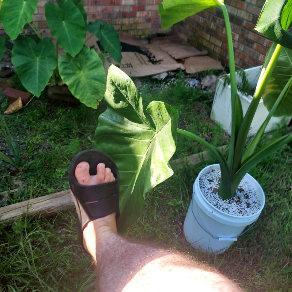 20260627_173819.jpg