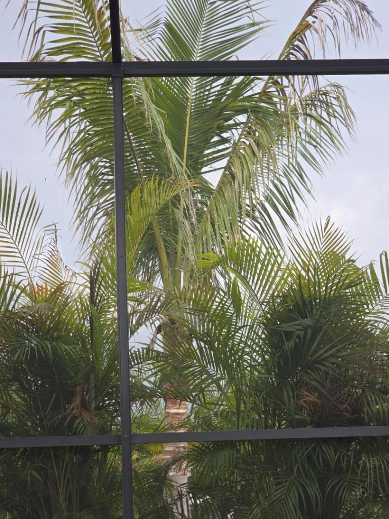 20260629_185422.jpg