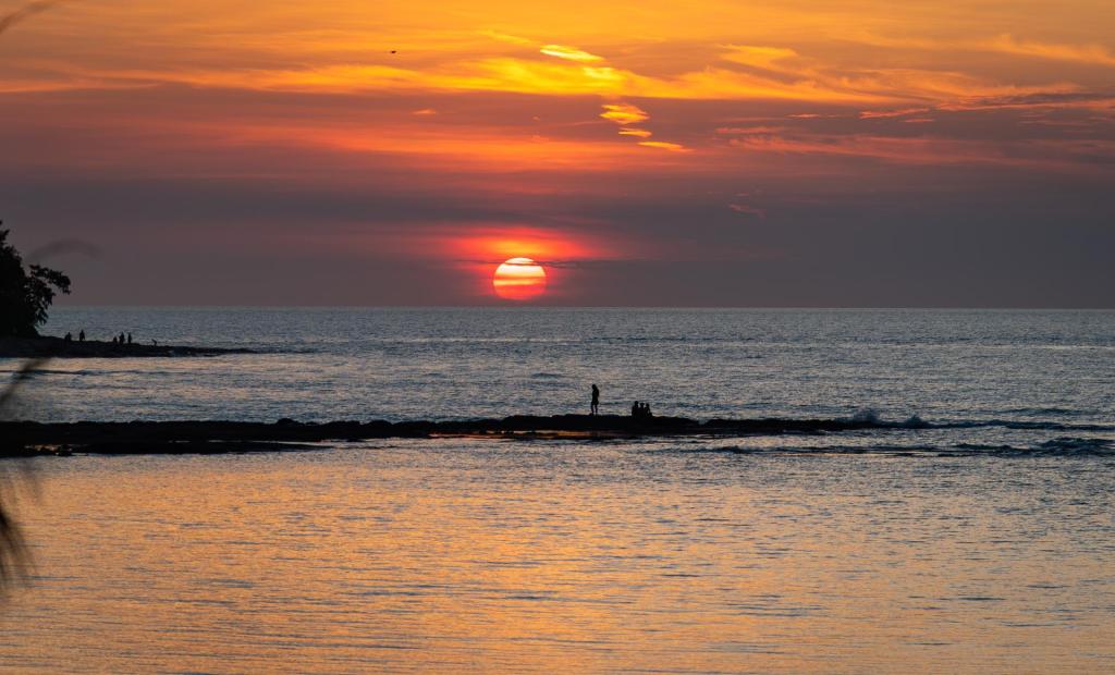 DSC_7735-2.jpg
