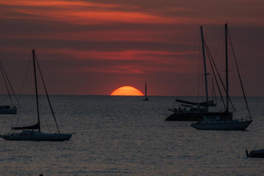 DSC_7933.jpg