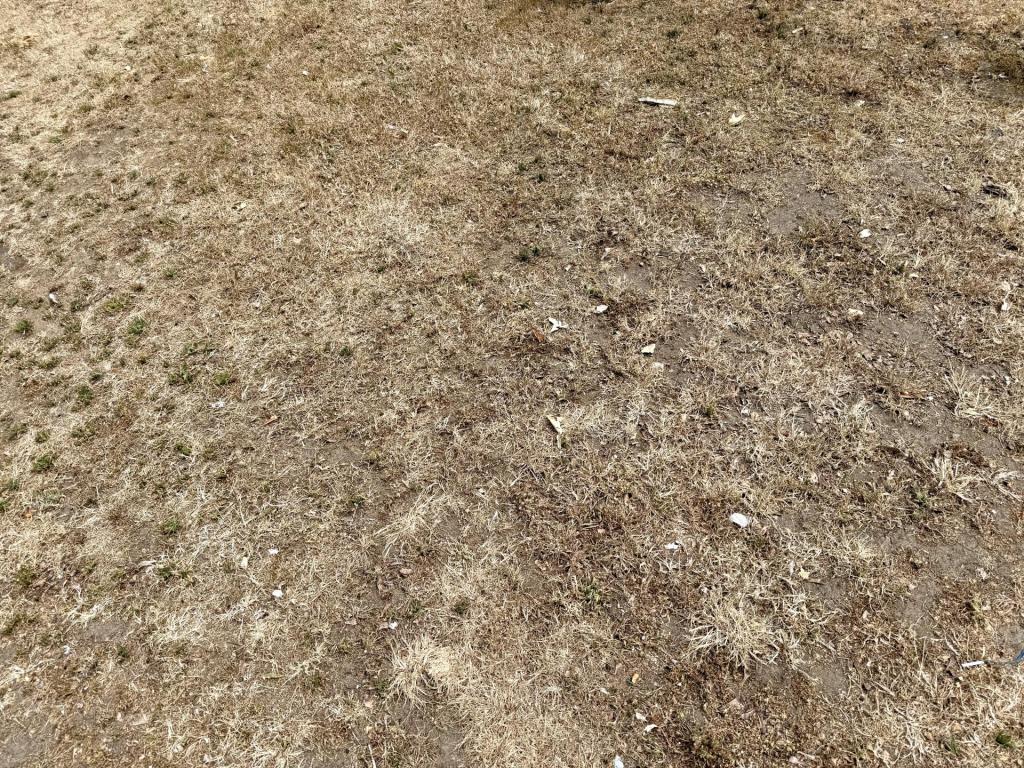 IMG_3048.jpeg