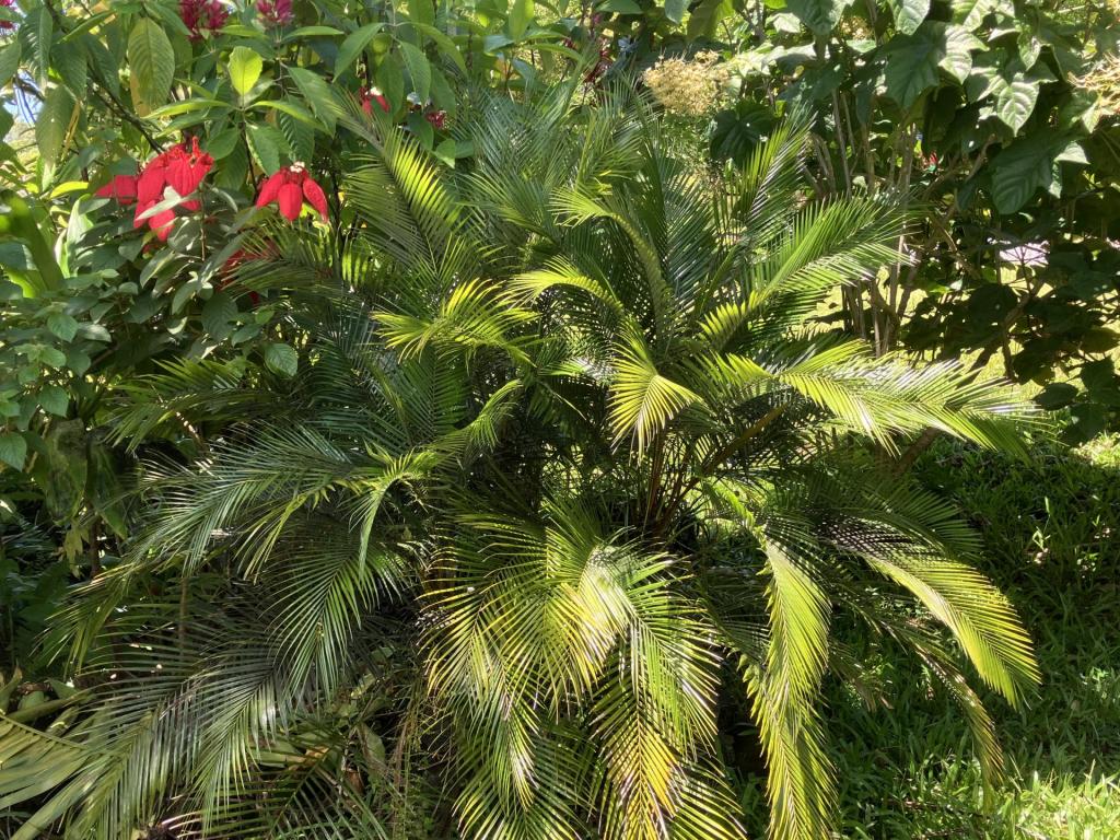 IMG_5046.jpeg
