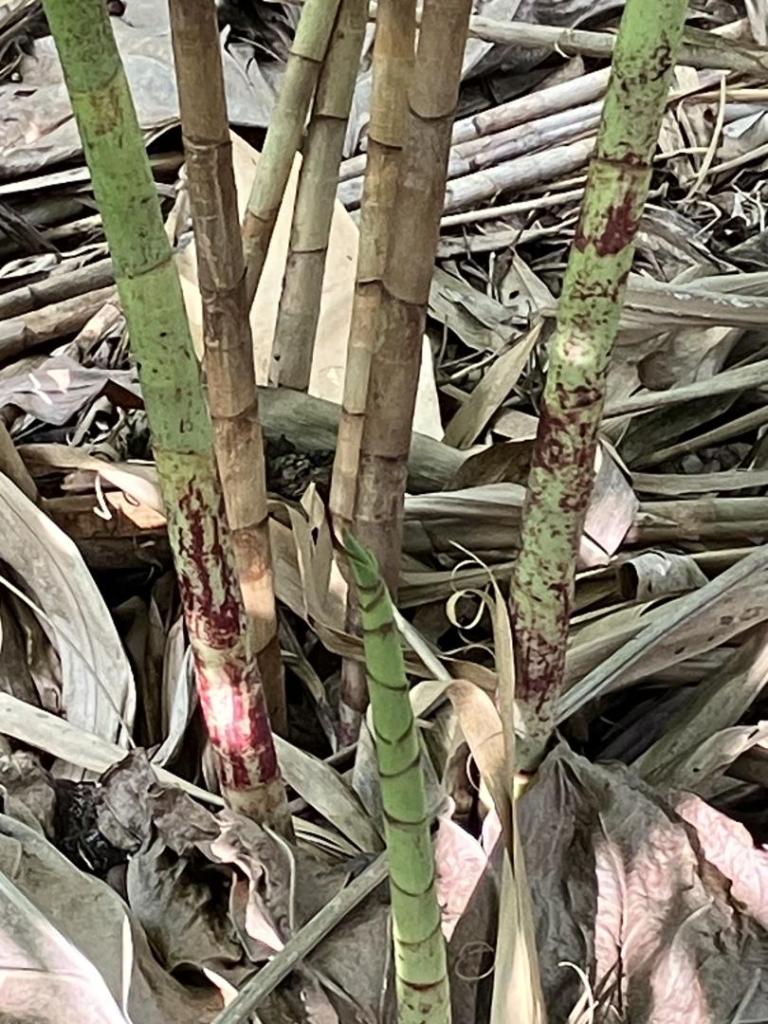 IMG_5068.jpeg