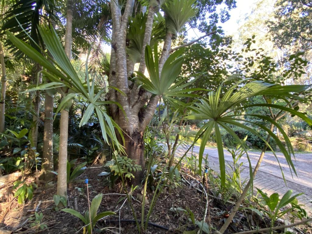 IMG_4220.jpeg
