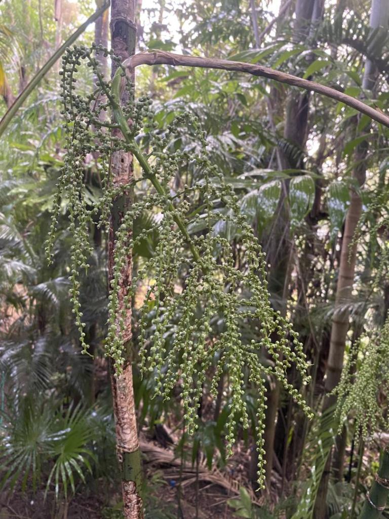 IMG_5619.jpeg