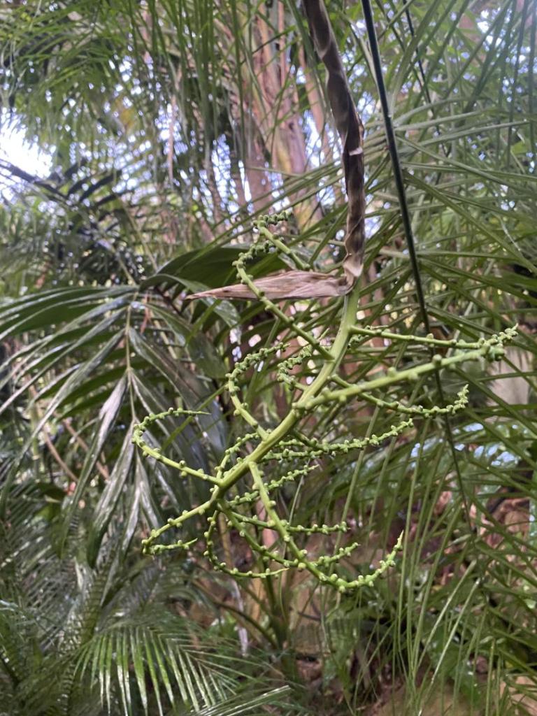 IMG_5621.jpeg