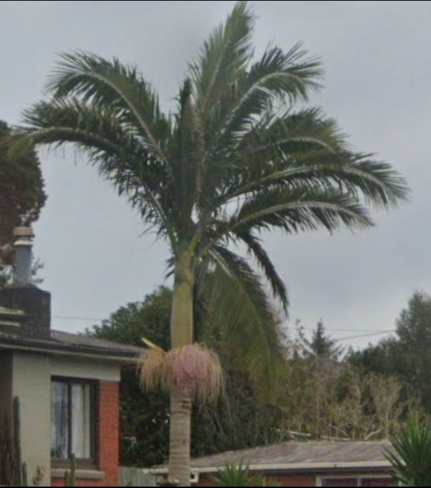 Screenshot 2026-08-05 194431.png