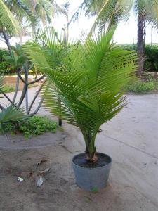 post--1151956262_thumb.jpg
