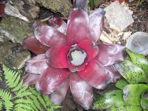 post-0-014894200 1320393436_thumb.jpg