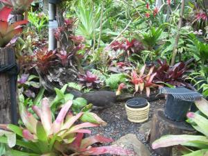 post-0-027156000 1320393459_thumb.jpg