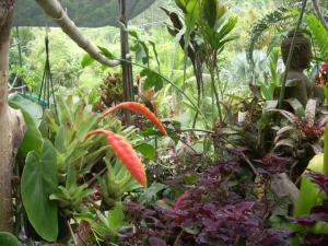 post-0-034862600 1320393474_thumb.jpg