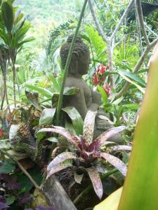 post-0-037010400 1320393482_thumb.jpg