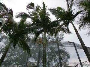 post-0-042532100 1329039021_thumb.jpg