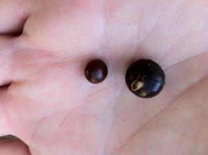 post-0-045996300 1334252815_thumb.jpg