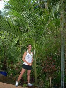 post-0-048812500 1320310362_thumb.jpg