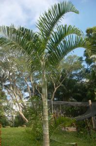 post-0-052814000 1334624832_thumb.jpg