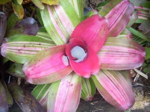 post-0-056782600 1320393443_thumb.jpg