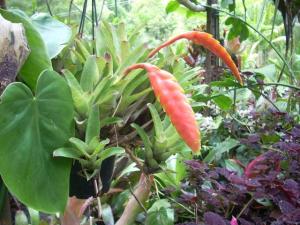 post-0-059915600 1320393466_thumb.jpg