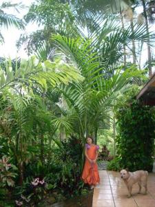 post-0-075461800 1320309757_thumb.jpg