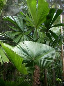 post-0-079627600 1319252621_thumb.jpg