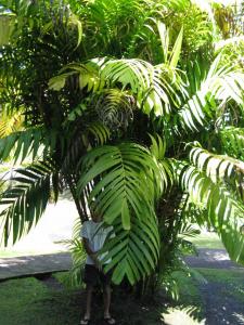 post-0-080103700 1312355584_thumb.jpg