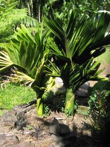 post-0-080853800 1328493490_thumb.jpg