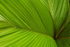 post-0-084159800 1322250916_thumb.jpg