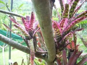 post-0-089589600 1320393450_thumb.jpg